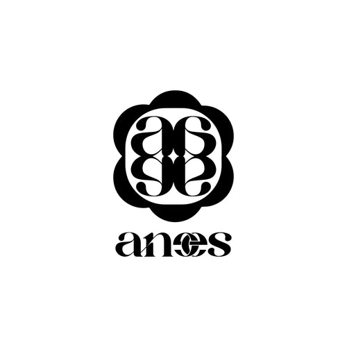 anees Bidet