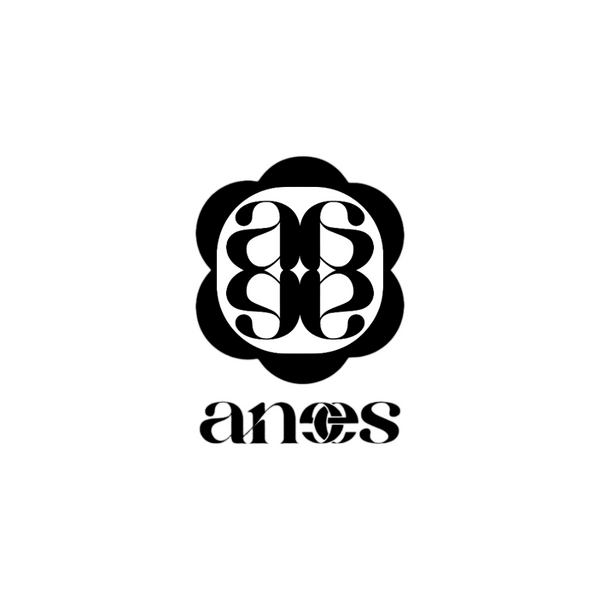 anees Bidet